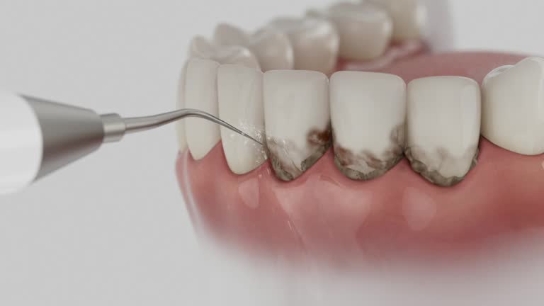 Reliable Dental contractor in Thomasboro, IL by Dentist Open Now